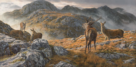Oil Painting of a Red Deer Stag and Hinds - Stalking Scene